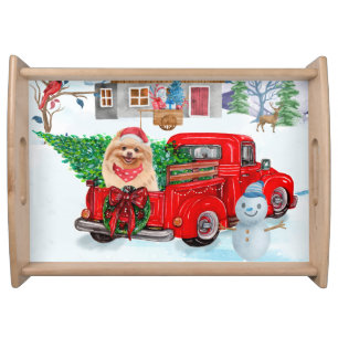 Pomeranian Dog In Christmas Delivery Truck Snow Serving Tray