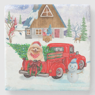 Pomeranian Dog In Christmas Delivery Truck Snow Stone Coaster
