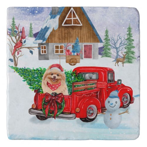 Pomeranian Dog In Christmas Delivery Truck Snow Trivet