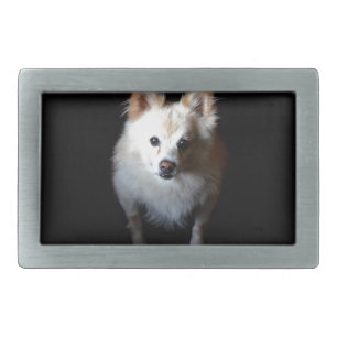 Pomeranian Dog in Dark Belt Buckle
