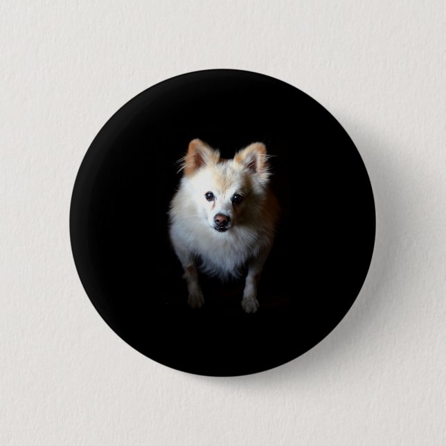 Pomeranian Dog in Dark Button (Front)