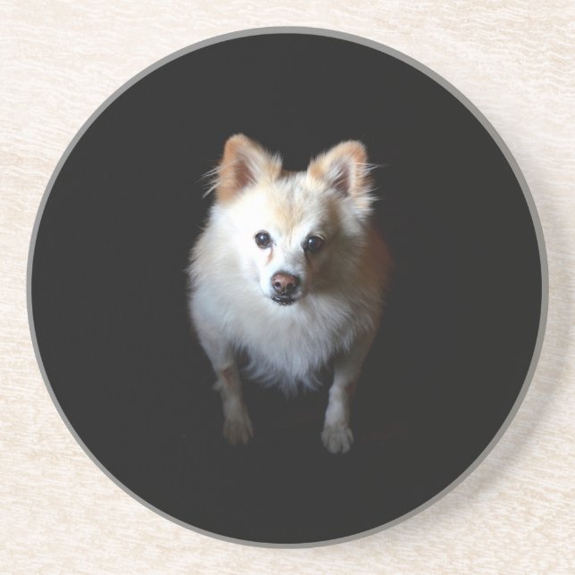 Pomeranian Dog in Dark Coaster (Front)