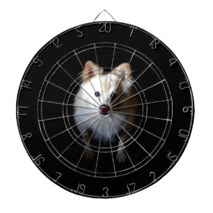 Pomeranian Dog in Dark Dartboard With Darts