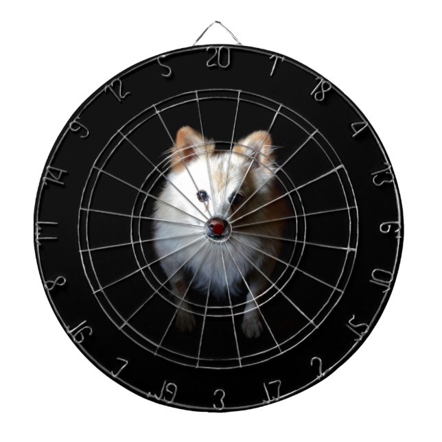Pomeranian Dog in Dark Dartboard With Darts (Front)