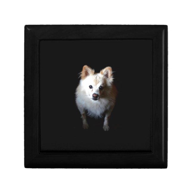 Pomeranian Dog in Dark Keepsake Box (Front)