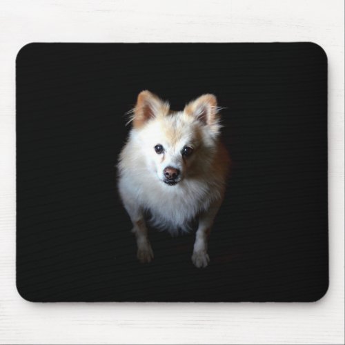 Pomeranian Dog in Dark Mousepad