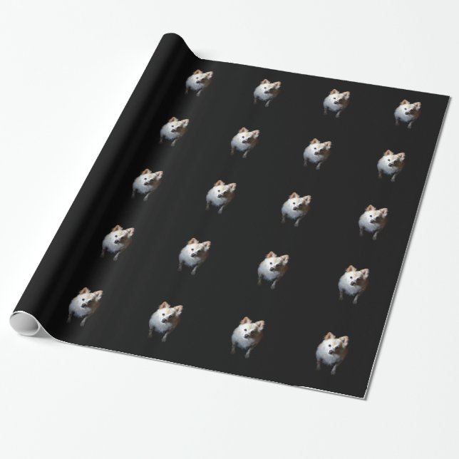 Pomeranian Dog in Dark Wrapping Paper (Unrolled)