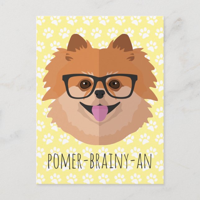 Pomeranian Dog In Nerd Glasses | POMER-BRAINY-AN Postcard (Front)