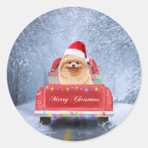 Pomeranian Dog in Snow sitting in Christmas Truck  Classic Round Sticker