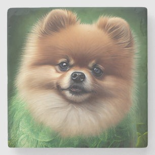 Pomeranian Dog in St. Patrick's Day Dress Stone Coaster