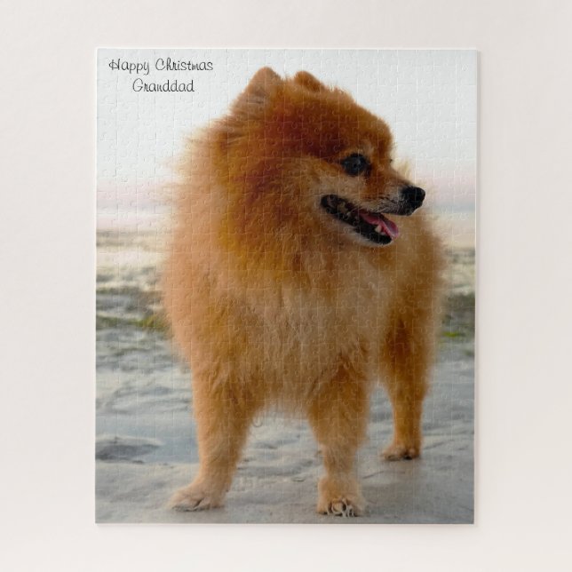 Pomeranian Dog. Jigsaw Puzzle (Vertical)