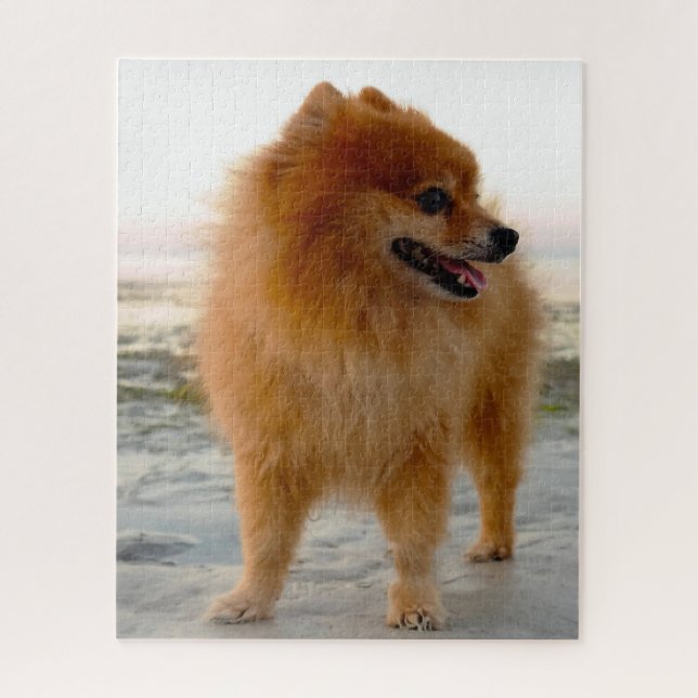 Pomeranian Dog. Jigsaw Puzzle (Vertical)