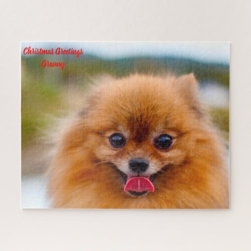 Pomeranian Dog Jigsaw Puzzle