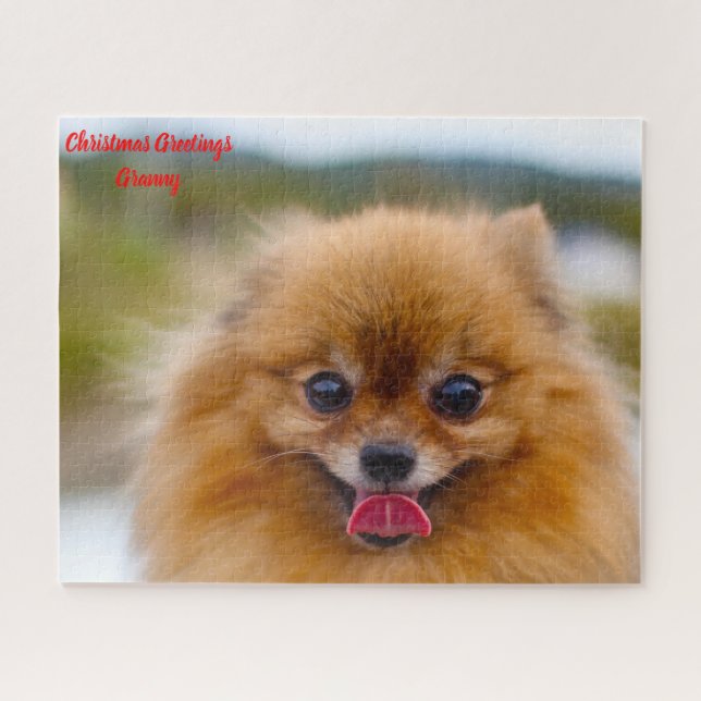 Pomeranian Dog. Jigsaw Puzzle (Horizontal)