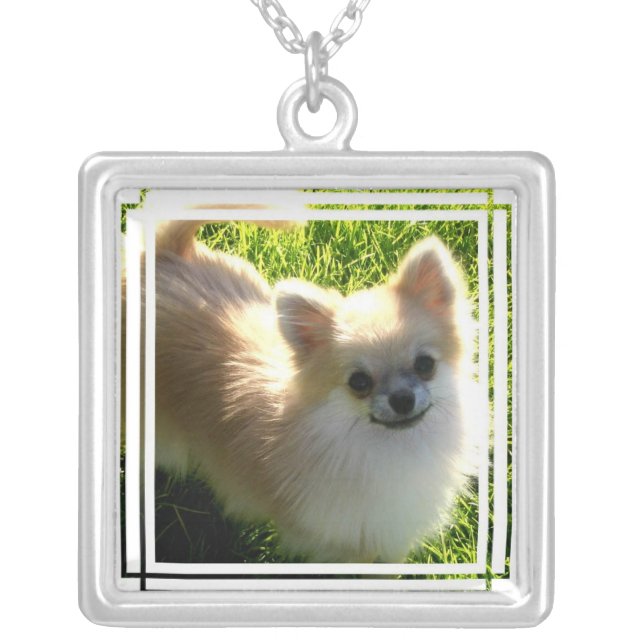 Pomeranian Dog Necklace (Front)