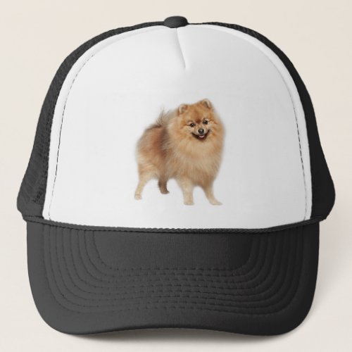 Pomeranian Dog Pet Animal Custom Trucker Hat