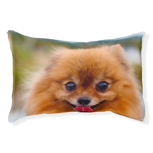 Pomeranian Dog Pet Bed