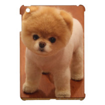 Pomeranian Dog Pet Puppy Small Adorable baby iPad Mini Cover Pomeranian Dog Pet Puppy Small Adorable baby iPad Mini Cover