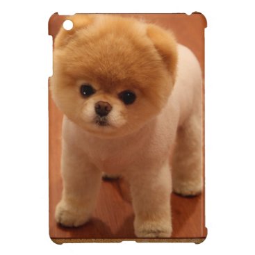 Pomeranian Dog Pet Puppy Small Adorable baby iPad Mini Cover