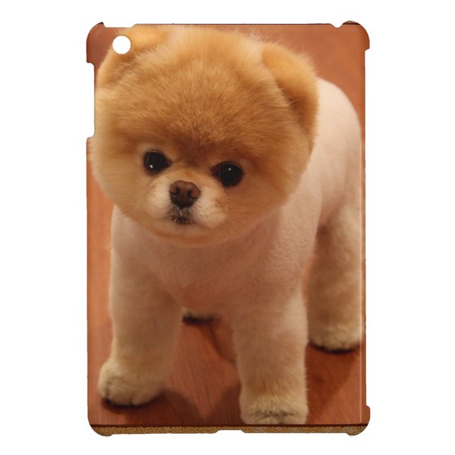 Pomeranian Dog Pet Puppy Small Adorable baby iPad Mini Cover (Back)