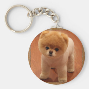 Pomeranian Puppy Accessories Zazzle