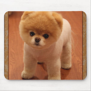 Pomeranian Dog Pet Puppy Small Adorable baby Mouse Pad