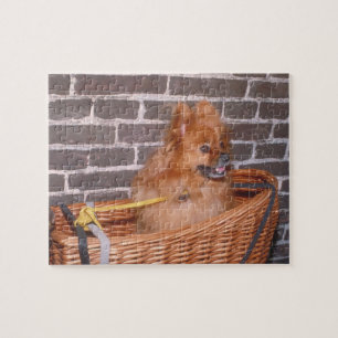 Pomeranian Dog Puzzle