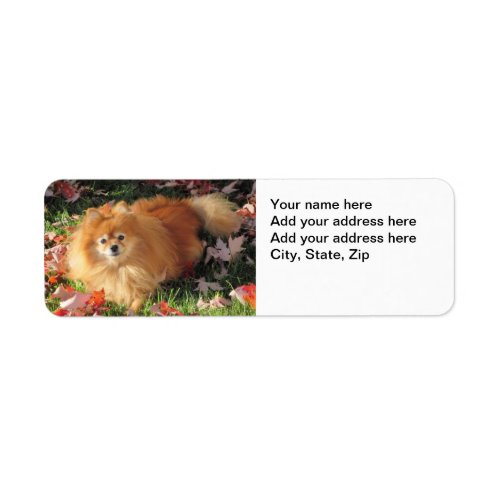 Pomeranian dog Return Address Label Autumn