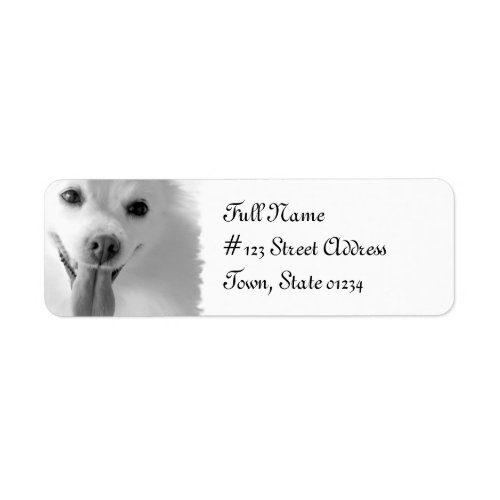 Pomeranian Dog Return Address Mailing Label