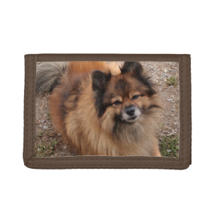 Pomeranian dog trifold wallet