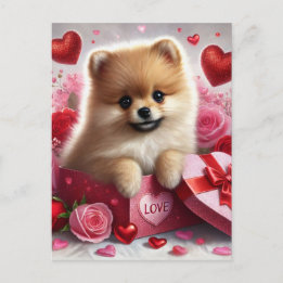 Pomeranian Dog Valentine's Day Holiday Postcard