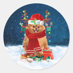 Pomeranian dog with Christmas gifts Classic Round Sticker