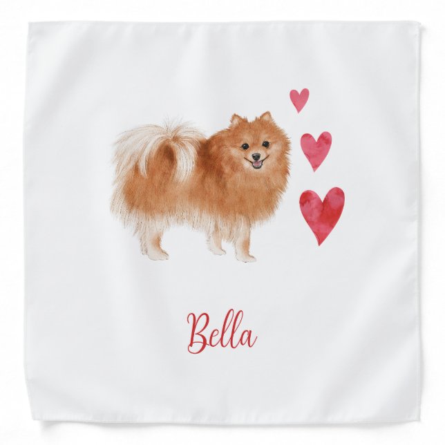 Pomeranian Dog with Custom Pet Name Bandana (Front)