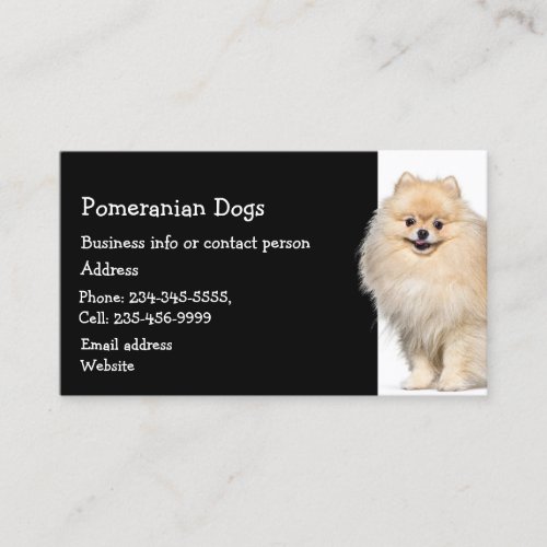 Pomeranian Dogs Breeder Pet Sitter  Business Card