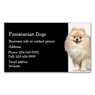 Pomeranian Dogs Breeder Pet Sitter Business Card Magnet