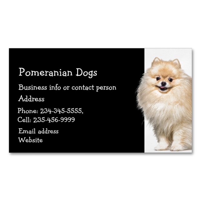 Pomeranian Dogs Breeder Pet Sitter   Business Card Magnet (Front)