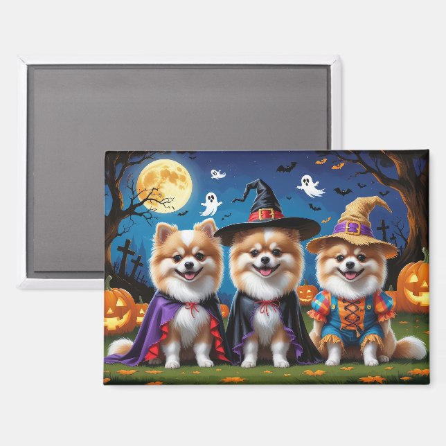 Pomeranian Dogs Pumpkin Halloween Funny  Magnet (Front/Back)