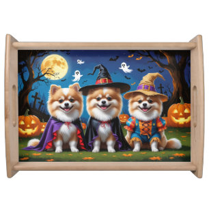 Pomeranian Dogs Pumpkin Halloween Funny  Serving Tray