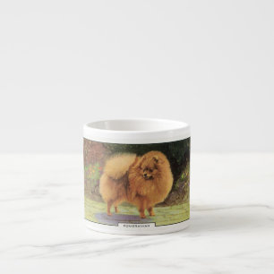 Pomeranian Espresso Cup