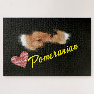 Pomeranian Eyes Solid Color 1000 piece Jigsaw Puzzle