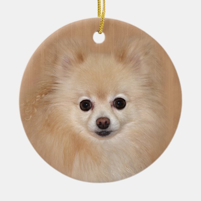 Pomeranian face ceramic ornament (Front)