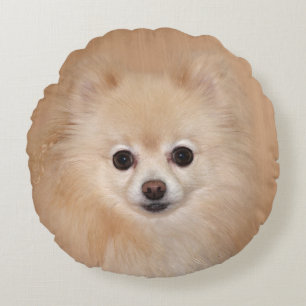 Pomeranian face round pillow