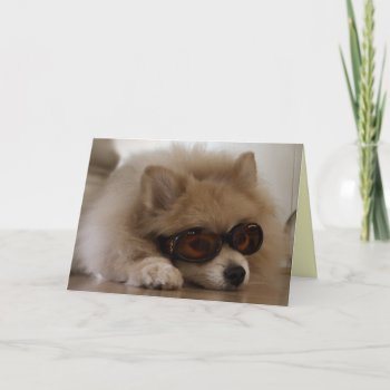 Pomeranian Friendship Card by DoggieAvenue at Zazzle