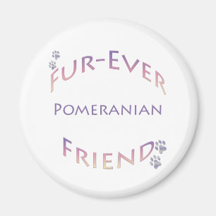 Pomeranian Furever Magnet