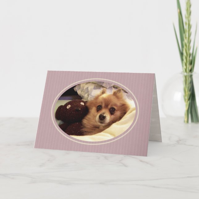 Pomeranian Get Well Card (Front)