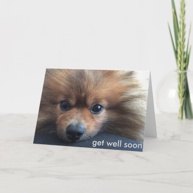 pomeranian get well soon card (Front)