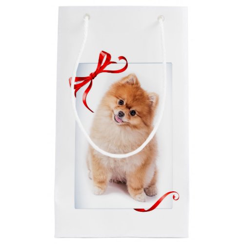 Pomeranian Gift Bag