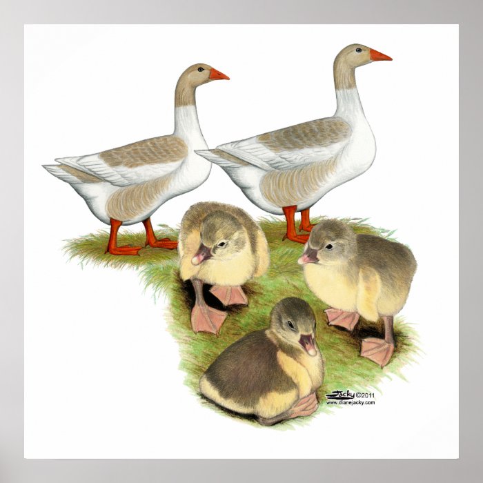 Pomeranian Goose Family Posters