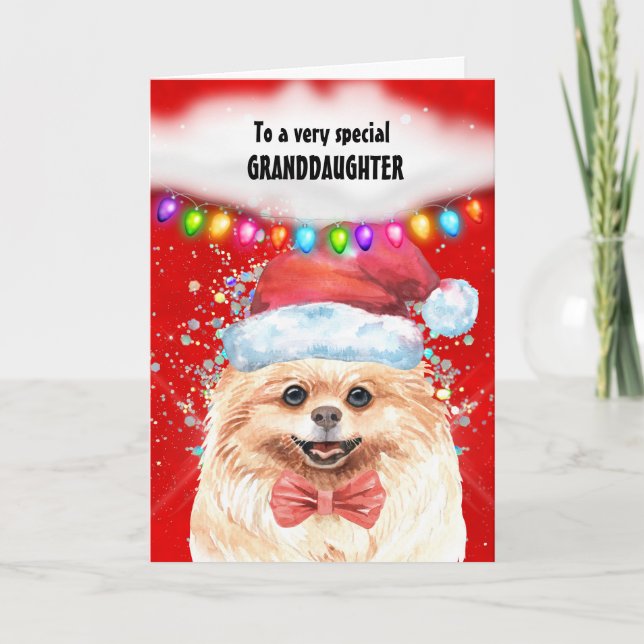 Pomeranian granddaughter Christmas wishes Santa Card (Front)