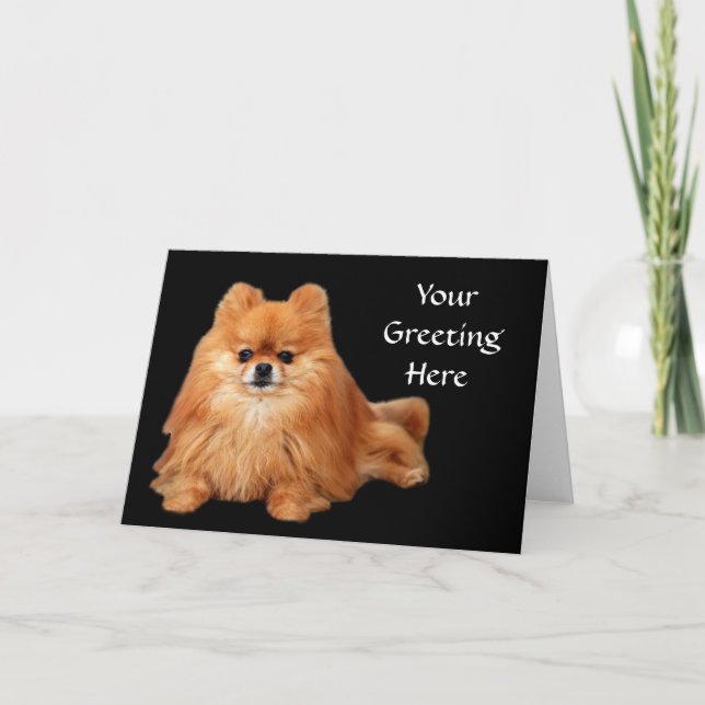 Pomeranian Greeting Card (Front)